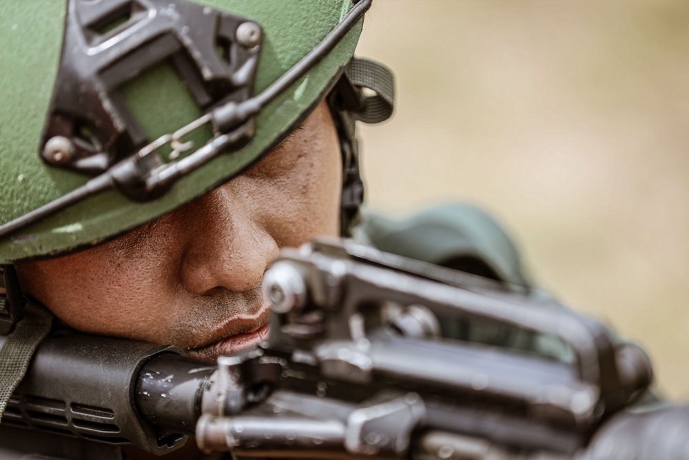 Tiger Strike 24: 15th MEU, 9th Battalion Combined Amphibious Assault Rehearsal Tiger Strike 24: 15th MEU, 9th Battalion Combined Amphibious Assault Rehearsal