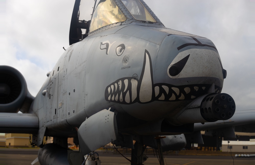 Sentry Aloha 24-2 A-10