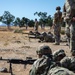 From Green Fields to Army Greens