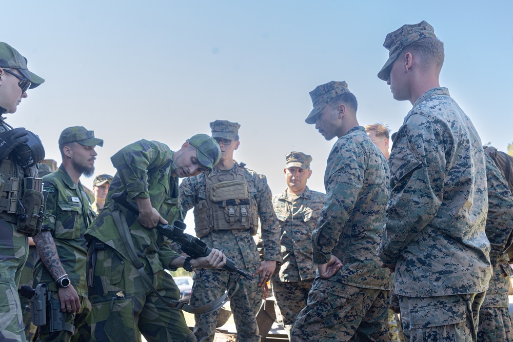 Combat Logistics Battalion 8 Weapons Demonstration