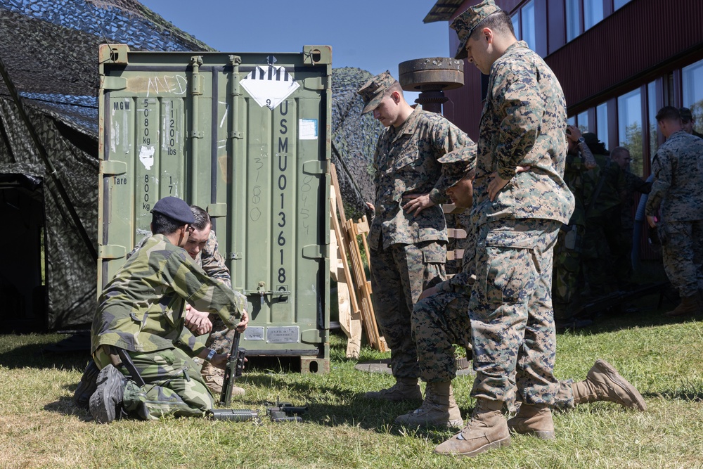 Combat Logistics Battalion 8 Weapons Demonstration