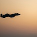 A-10 Demo - Laredo Air Show 2024