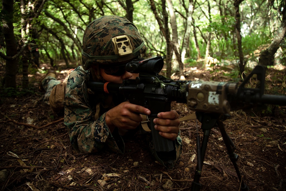 Practice How We Play: MCBH HQBN Marines Participate in FEX III