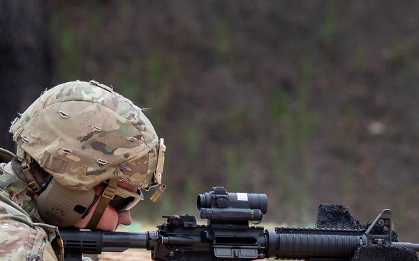 Annual Training in a Deployment Year