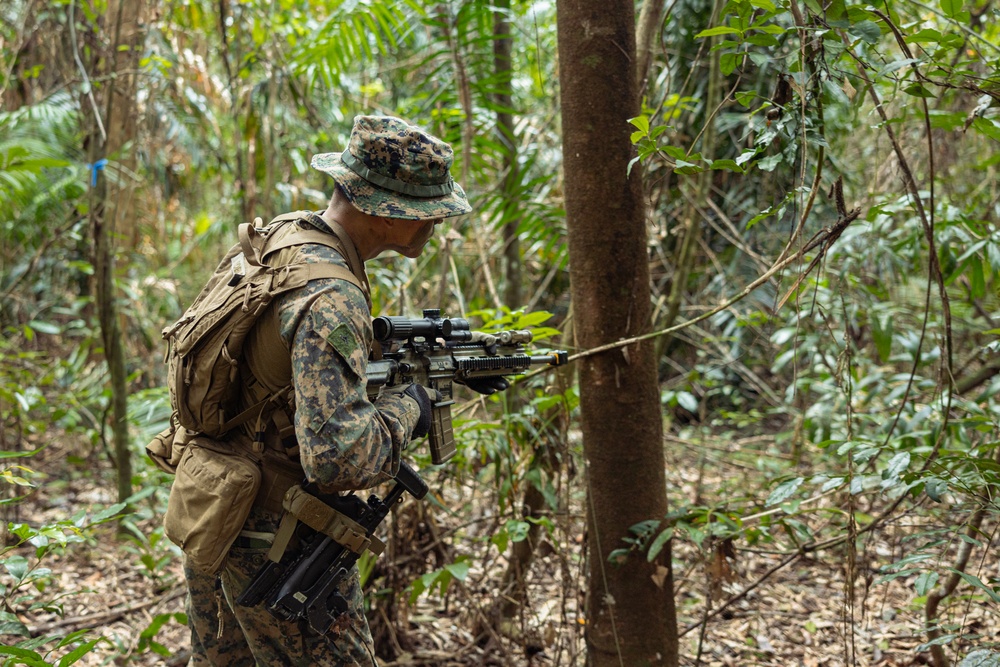 MRF-D 24.3: Fox Co., 2nd Bn., 5th Marines (Rein.), rehearses patrolling in the jungle
