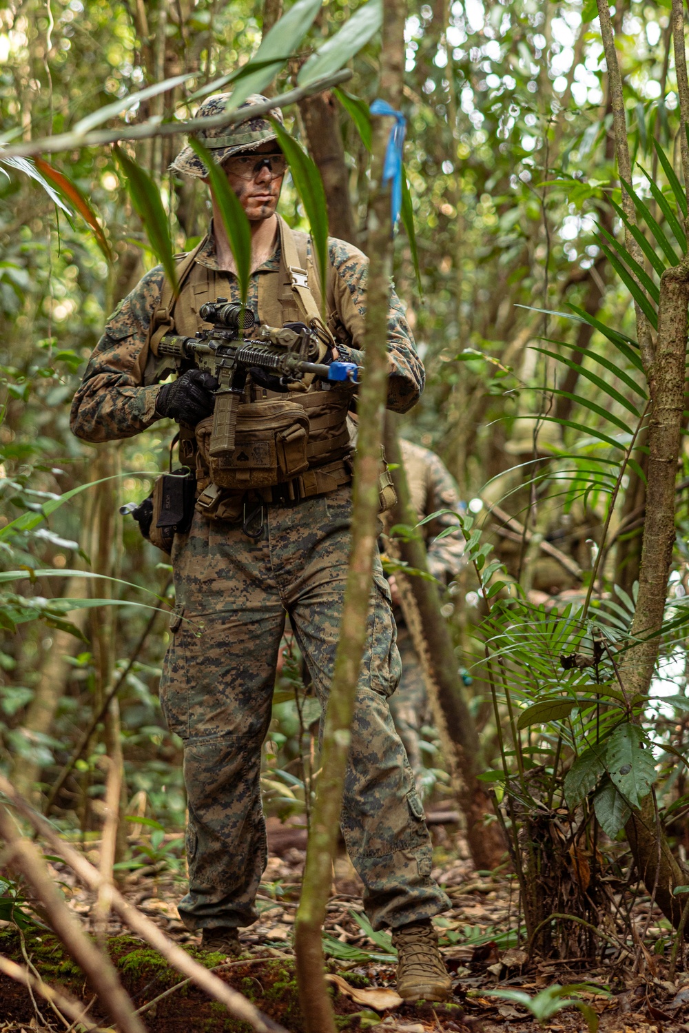 MRF-D 24.3: Fox Co., 2nd Bn., 5th Marines (Rein.), rehearses patrolling in the jungle