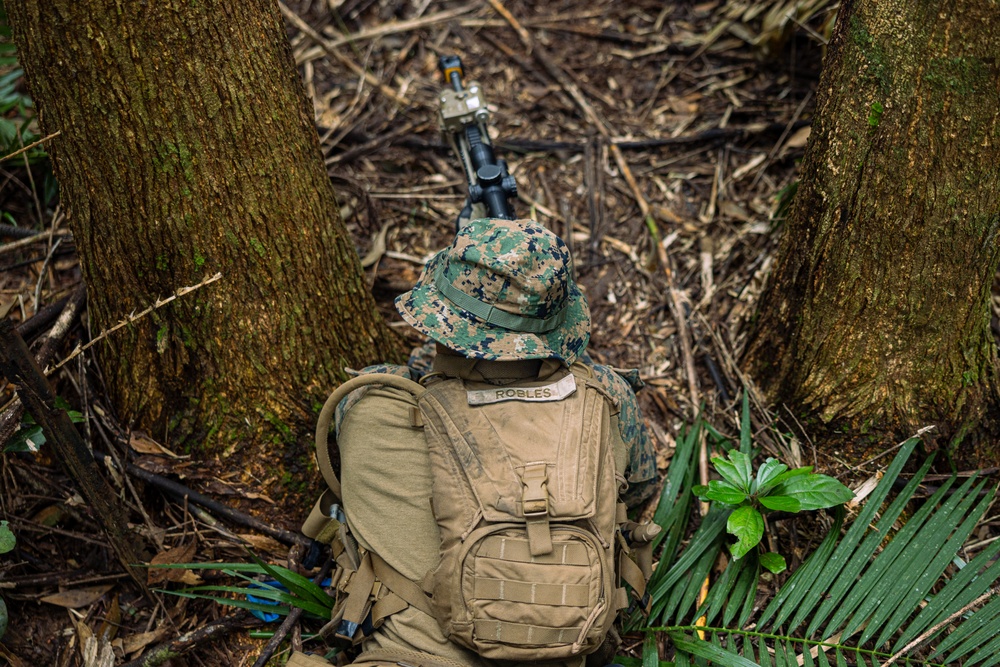 MRF-D 24.3: Fox Co., 2nd Bn., 5th Marines (Rein.), rehearses patrolling in the jungle