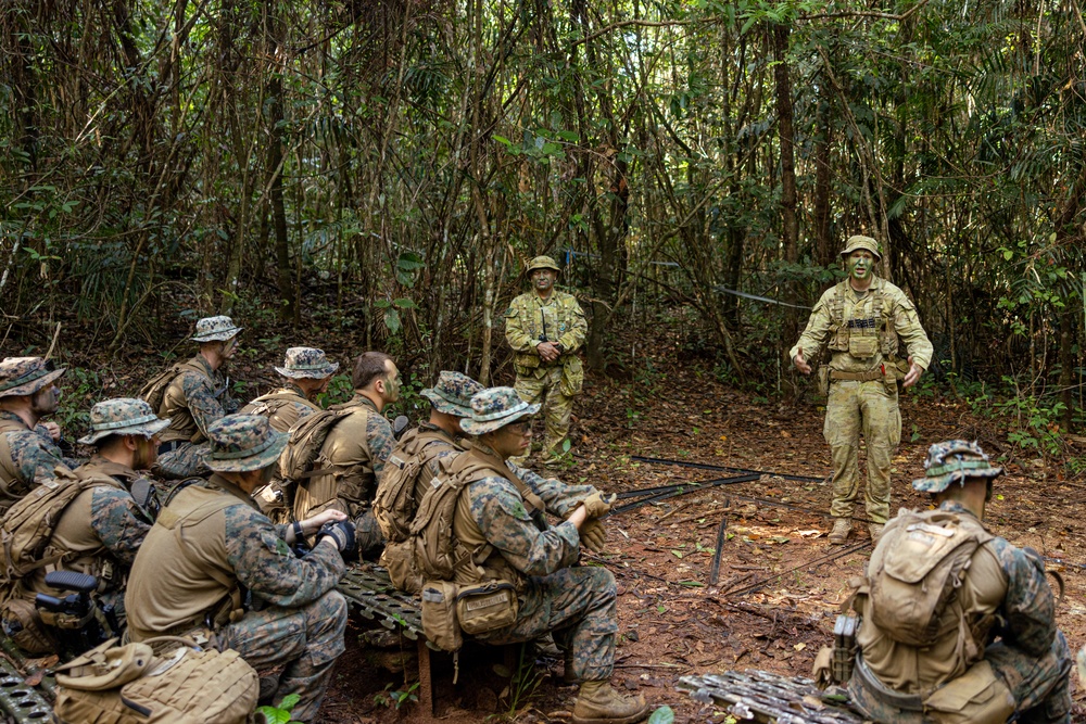 MRF-D 24.3: Fox Co., 2nd Bn., 5th Marines (Rein.), rehearses patrolling in the jungle