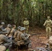 MRF-D 24.3: Fox Co., 2nd Bn., 5th Marines (Rein.), rehearses patrolling in the jungle