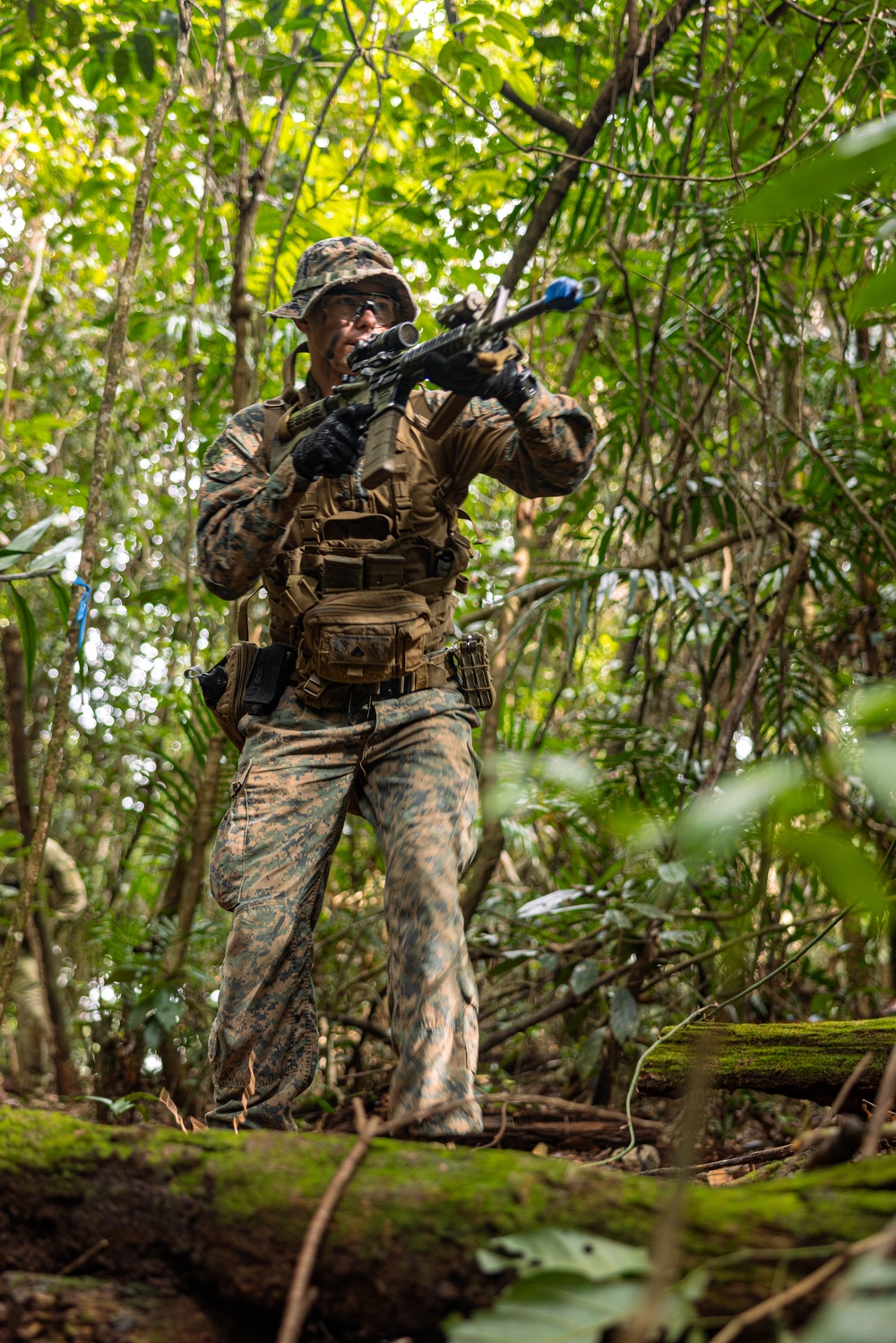 MRF-D 24.3: Fox Co., 2nd Bn., 5th Marines (Rein.), rehearses patrolling in the jungle