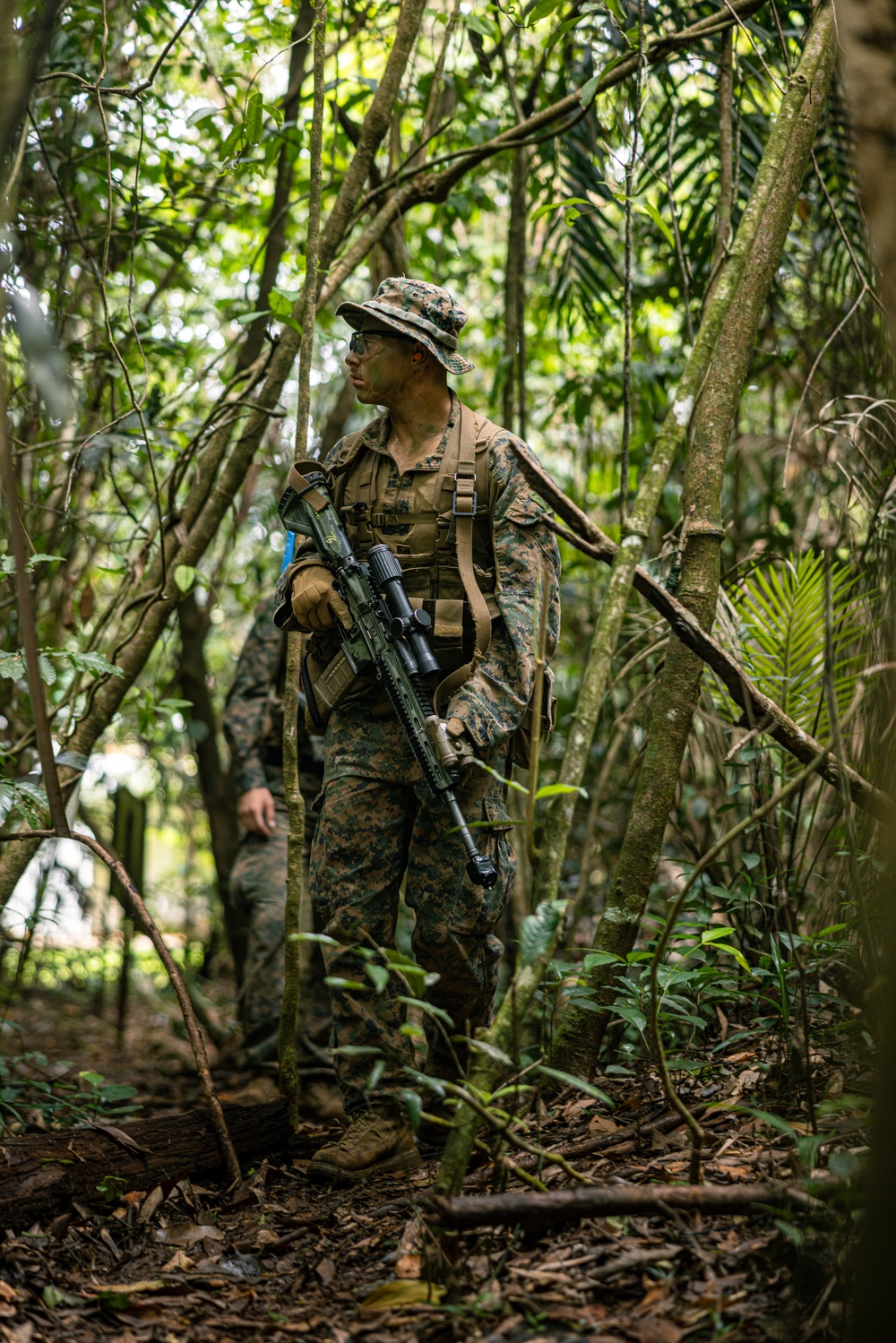 MRF-D 24.3: Fox Co., 2nd Bn., 5th Marines (Rein.), rehearses patrolling in the jungle