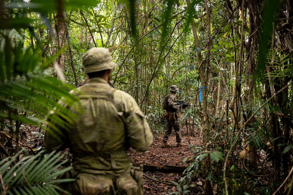 MRF-D 24.3: Fox Co., 2nd Bn., 5th Marines (Rein.), rehearses patrolling in the jungle