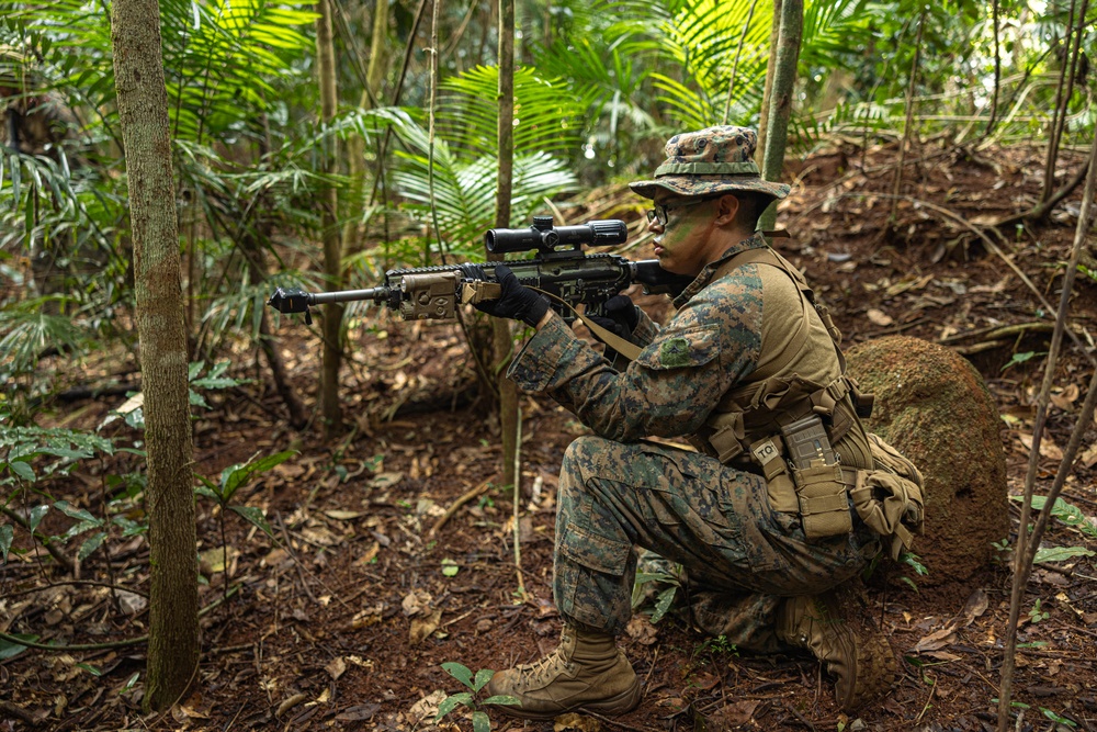 MRF-D 24.3: Fox Co., 2nd Bn., 5th Marines (Rein.), rehearses patrolling in the jungle