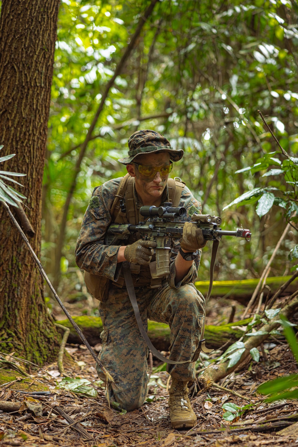 MRF-D 24.3: Fox Co., 2nd Bn., 5th Marines (Rein.), rehearses patrolling in the jungle