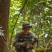 MRF-D 24.3: Fox Co., 2nd Bn., 5th Marines (Rein.), rehearses patrolling in the jungle