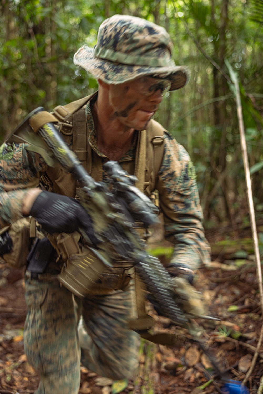 MRF-D 24.3: Fox Co., 2nd Bn., 5th Marines (Rein.), rehearses patrolling in the jungle