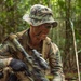 MRF-D 24.3: Fox Co., 2nd Bn., 5th Marines (Rein.), rehearses patrolling in the jungle