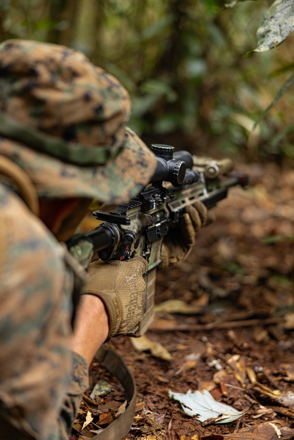 MRF-D 24.3: Fox Co., 2nd Bn., 5th Marines (Rein.), rehearses patrolling in the jungle