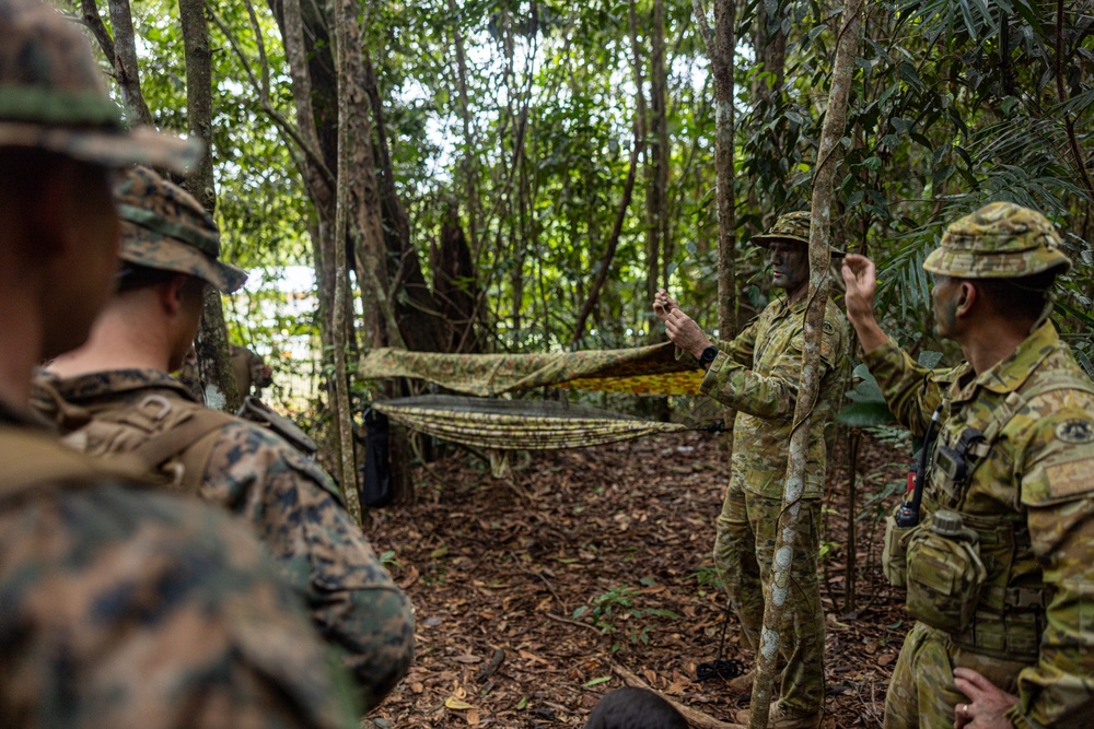 MRF-D 24.3: Fox Co., 2nd Bn., 5th Marines (Rein.), rehearses patrolling in the jungle