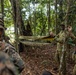 MRF-D 24.3: Fox Co., 2nd Bn., 5th Marines (Rein.), rehearses patrolling in the jungle