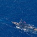 USS Ronald Reagan (CVN 76) steams in formation with 7th Fleet ships, Japan Maritime Self-Defense Force ships, as U.S. Navy, U.S. Air Force and Japan Air Self-Defense Force aircraft fly over in support of Valiant Shield 2024