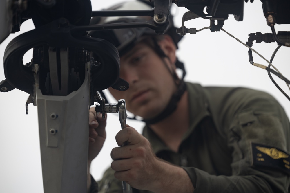 U.S. Marines with HMLA-167 perform maintenance during Distributed Aviation Operations Exercise 24