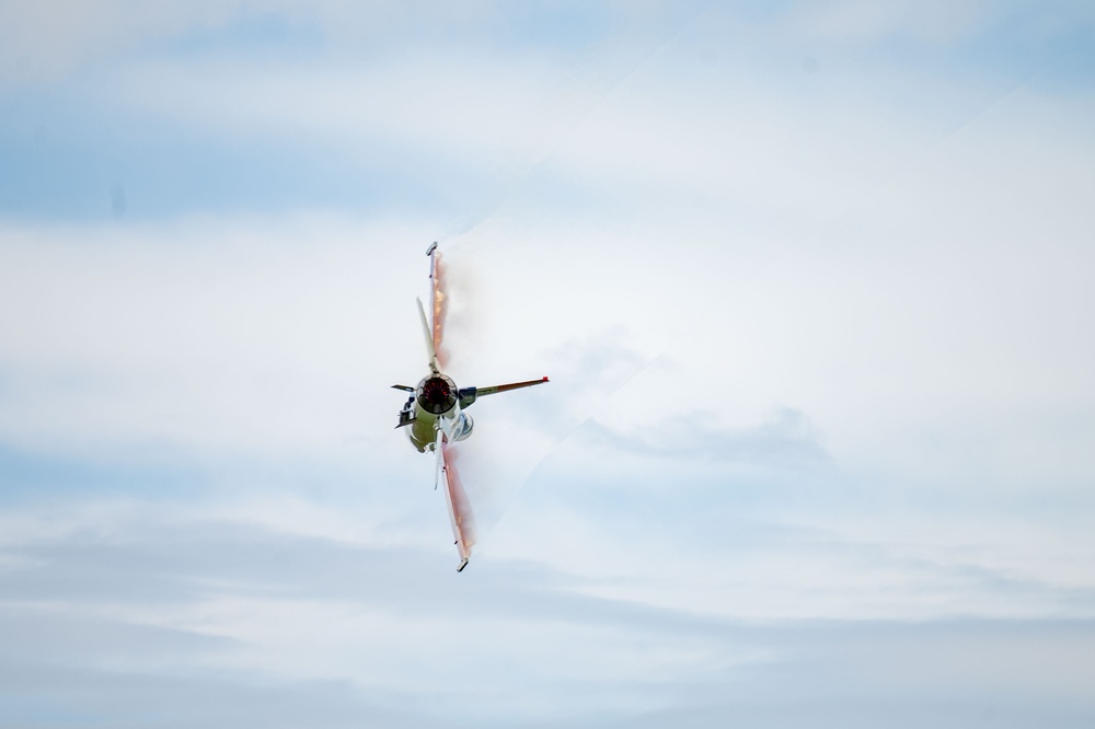 The F-16 Viper Demonstration Team perform at the Let Freedom Fly Air Show