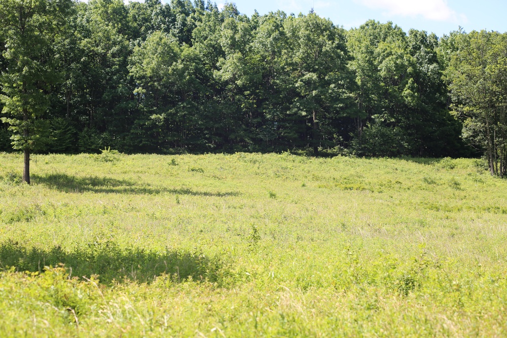 Woodland at Fort Indiantown Gap