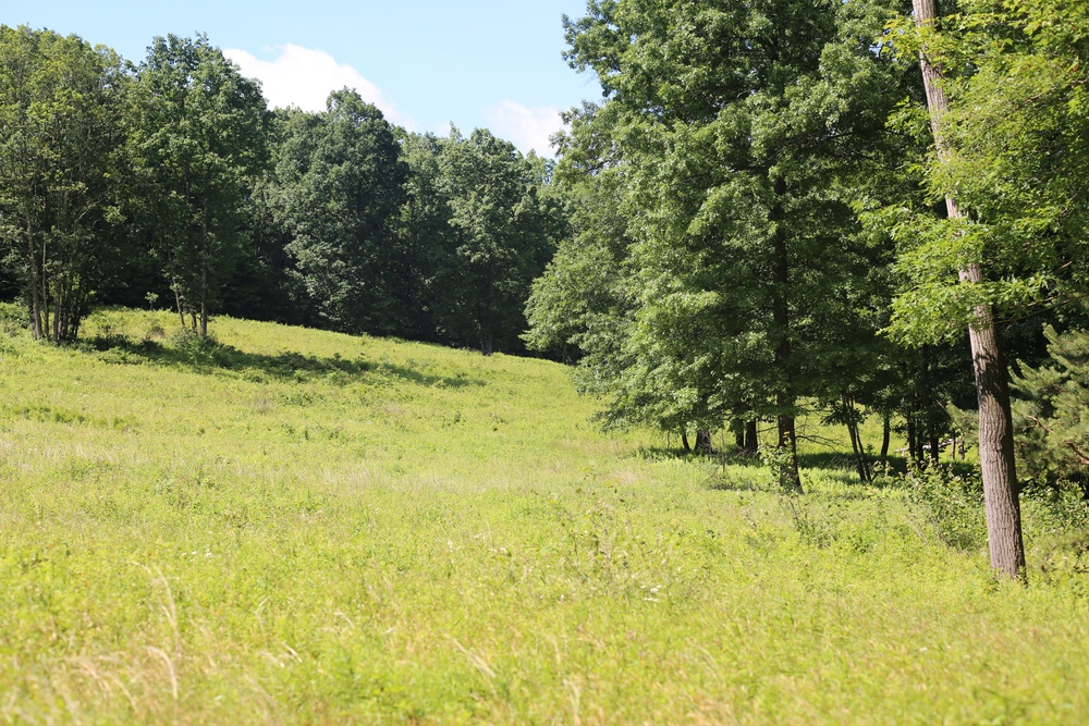 Woodland at Fort Indiantown Gap