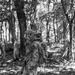 1-109th Infantry Regiment Soldiers Execute Sniper Operations