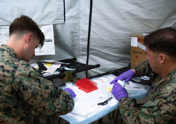 Valiant Shield 24: CLB-13 Establishes the First Role 2 Medical Field Hospital in Palau