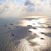 USS Mount Whitney and NATO Allies Steam in Formation