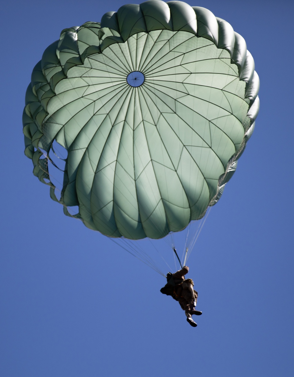 Servicemembers conduct 1,300 strong jump over Normandy to celebrate D-Day 80
