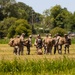 1300 service members jump overNormandy for D-Day 80