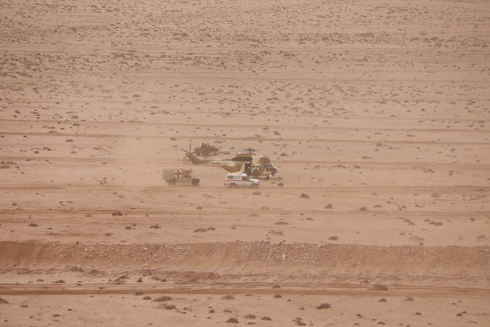 NY National Guard and USMC Execute Combined Arms Live Fire with Moroccan Military