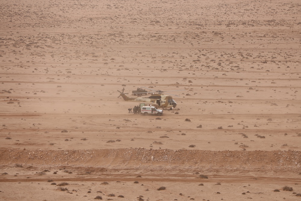 NY National Guard and USMC Execute Combined Arms Live Fire with Moroccan Military