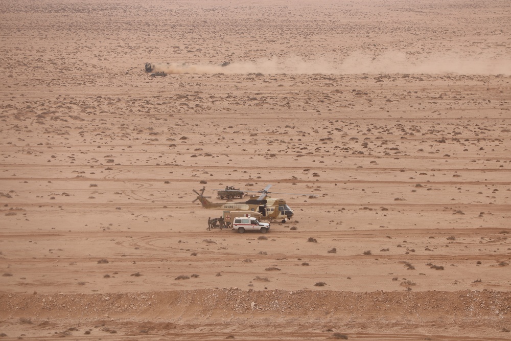 NY National Guard and USMC Execute Combined Arms Live Fire with Moroccan Military