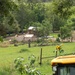 DR-4788-AR