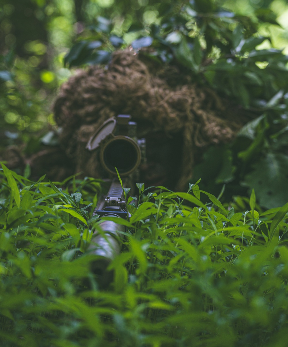 Army Sniper Training