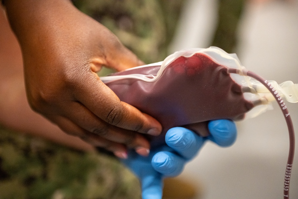 Operation Blue Horizon 2024