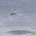 BALTOPS24 Conducts Mine Countermeasure Exercises