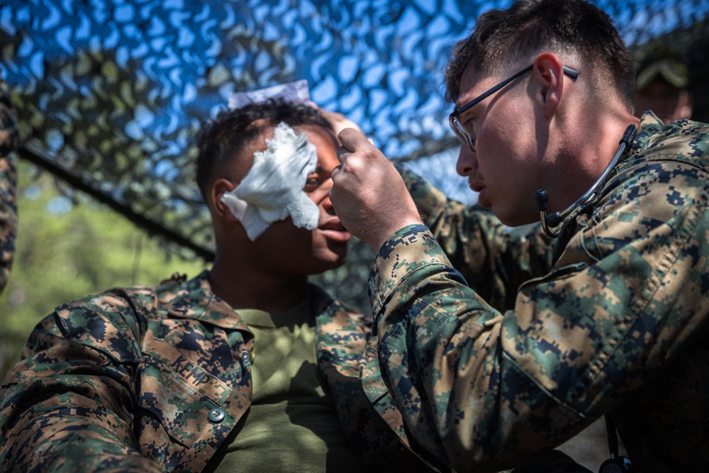 CLB-8 Demonstrates Medical Evacuation to Swedish Forces