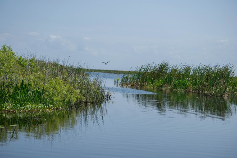 Lake Okeechobee the liquid heart of the Everglades