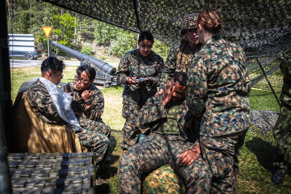 CLB-8 Demonstrates Medical Evacuation to Swedish Forces