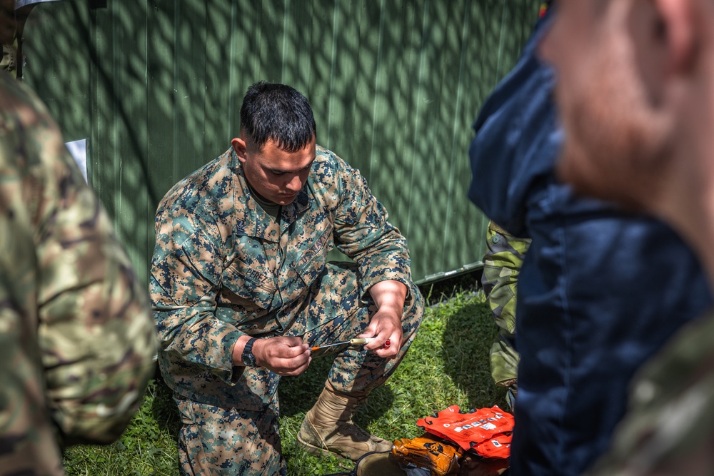 CLB-8 Demonstrates Medical Evacuation to Swedish Forces