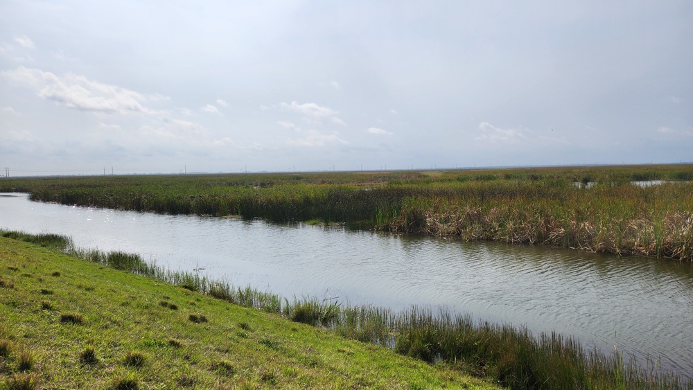 The C-44 IRL is home to 4,300 species of plants and animals the C-44 Reservoir and 6 cell STA provide a total of 60,500 acre-feet of new water storage.