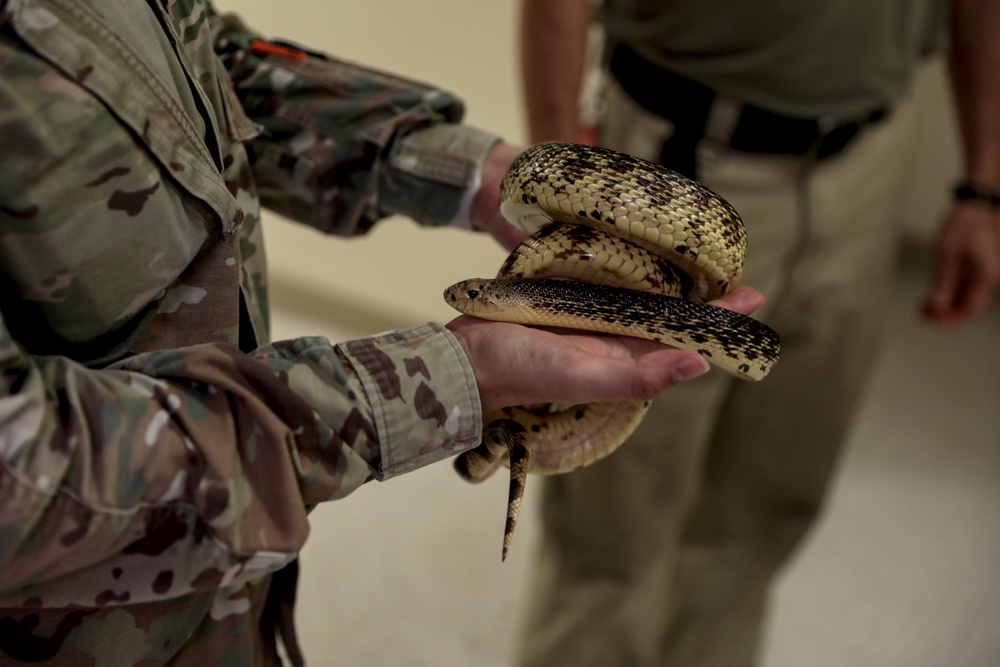 Endangered Louisiana Pinesnake Visits to Educate JRTC Team