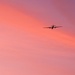 U-2 Dragon Lady flies during dusk