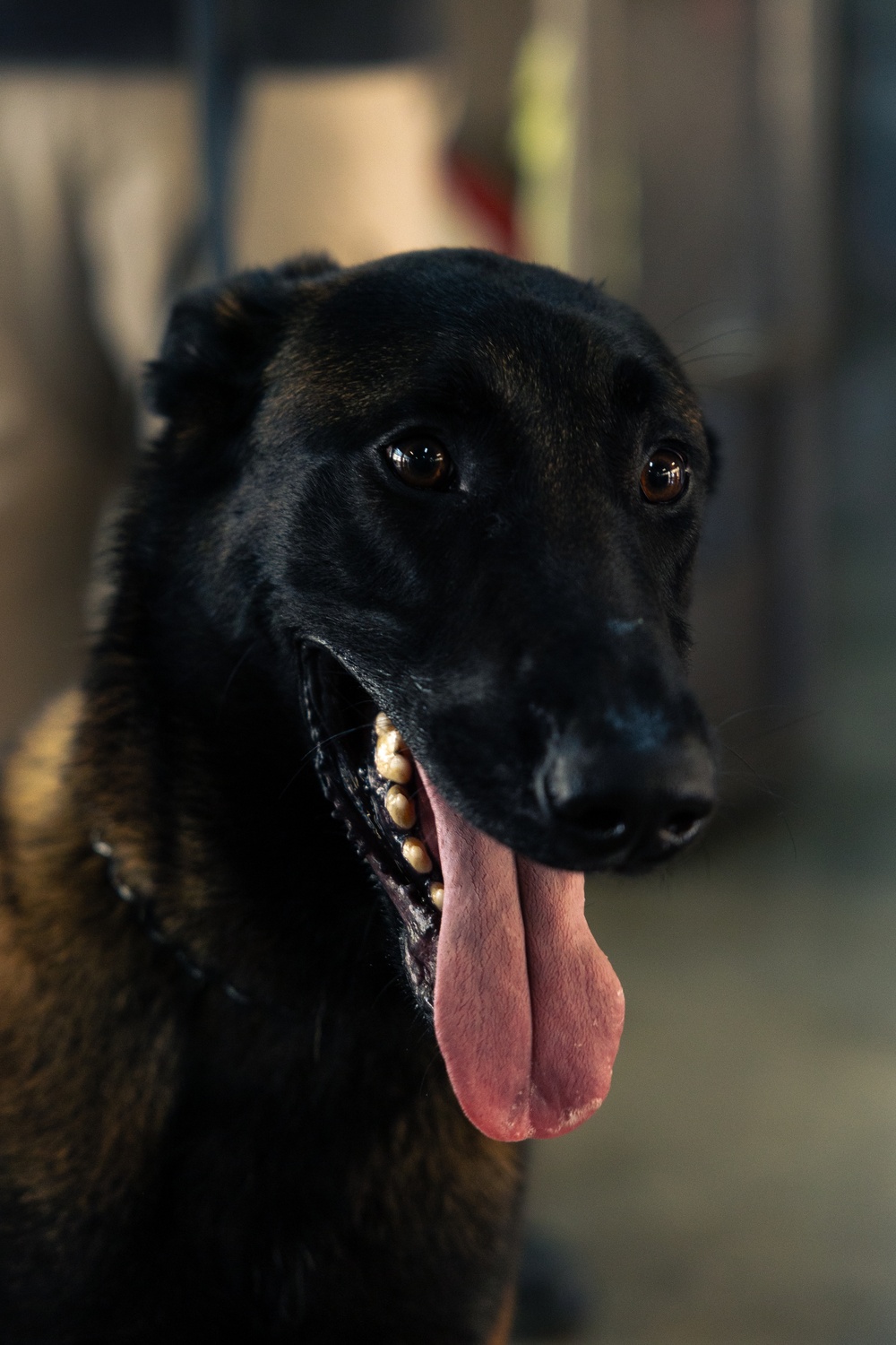 CENTAM Guardian Phase II: Special Forces Training