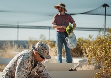 The life of the Desert Tortoise at the TRACRS facility